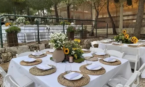 בת מצווה ביער