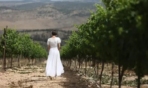 חתונה בגוונא