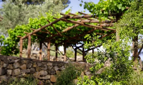 אירוע ביד השמונה