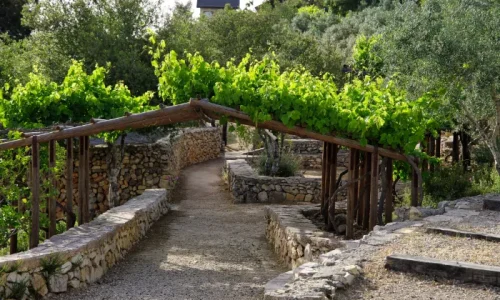 חתונה ביד השמונה