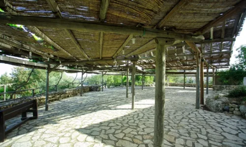 ימי הולדת עם לינה