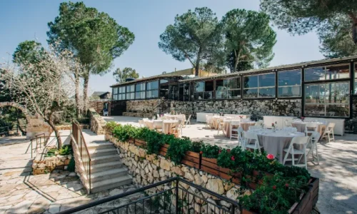 לוגוס שבתות חתן