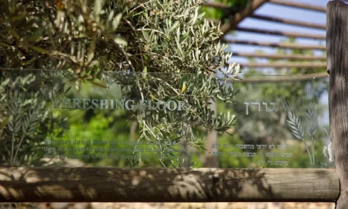 מקומות פסטורלים לאירועים