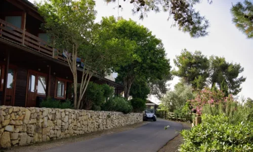 שבת חתן באוירה פסטורלית