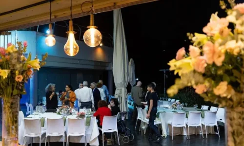 הפינה הירוקה