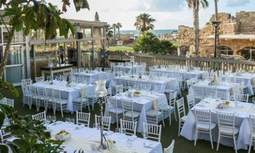 קיסר ים - הושבה בחוץ