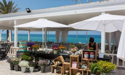 באבאי- חתונה על הים