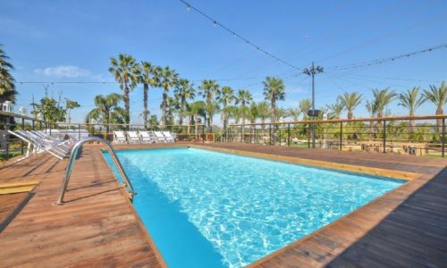 חלום בחווה אורבן- הבריכה ועצי הדקל