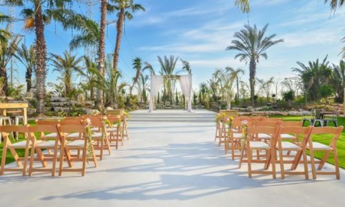 חלום בחווה אורבן- החופה