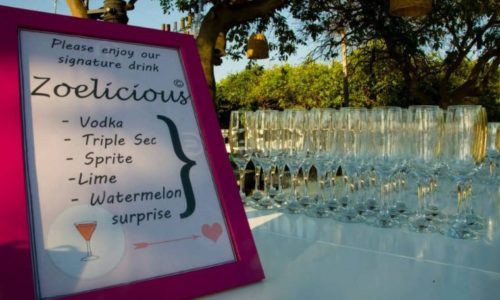 משמרות- חוץ וגינה