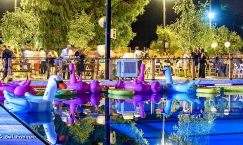 צל החורש - בריכה ונוף