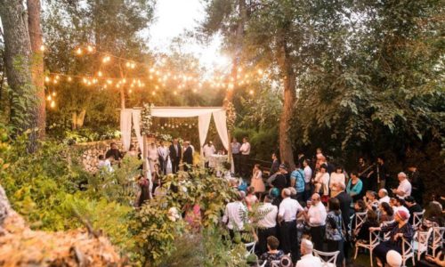 עין חמד- ביער