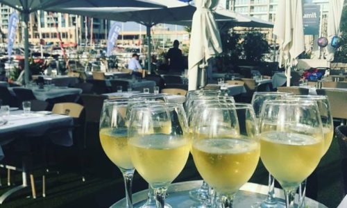 בני הדייג- קוקטיילים