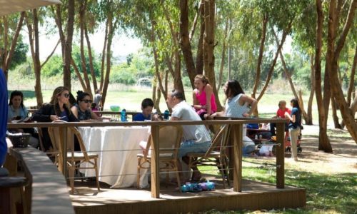 חורשת האקליפטוסים אירועי0