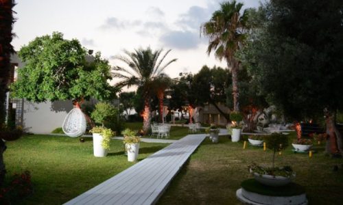 גן שביל עץ דק- מדשאות שביל לבן וגן מול הים