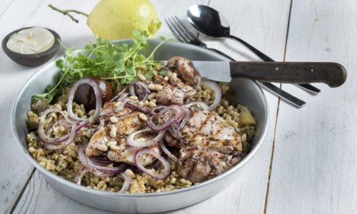 יקב עץ האלון- מנות שף