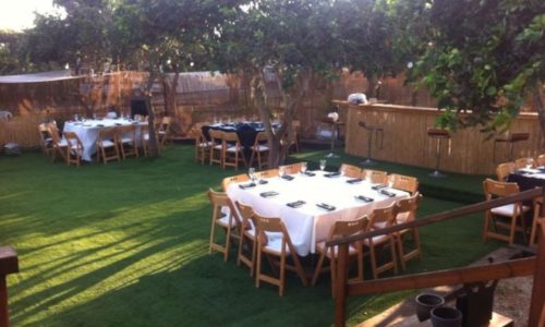 לב הפרדס- סידור שולחנות בטבע ודשא