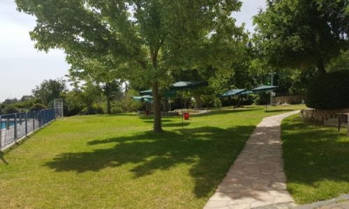 הבריכה החמישית- מעלה החמישה- מדשאות