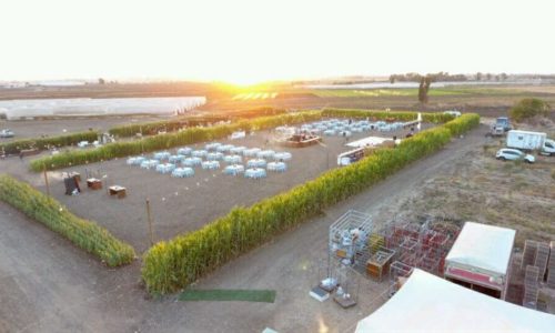 BA-SADE -צילום אווירי שטח לאירועים