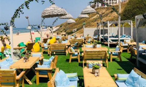 על החוף- נוף מדשאות