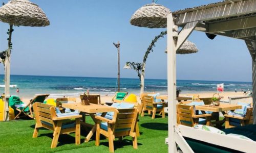 על החוף- נוף מדשאות