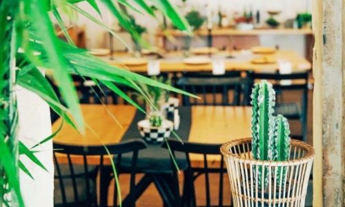 הבוסתן- העיצוב והאווירה