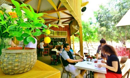 חורשת האקליפטוסים אירועים- כפרי