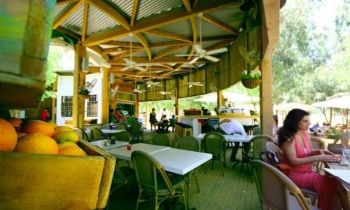 חורשת האקליפטוסים אירועים- חלל מקורה בטבע