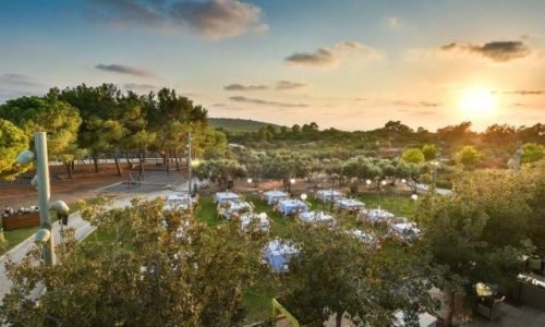 מטעים- אווירה בטבע