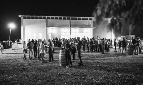 היקב בטבע- הגינה