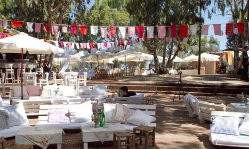 אקליפטוס בשרון- פינות ישיבה בטבע