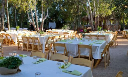 אקליפטוס בשרון- סידור שולחנות בטבע לחתונה