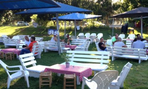 הבריכה לאירועים בטבע עד 1000 איש- מדשאות ופינות ישיבה