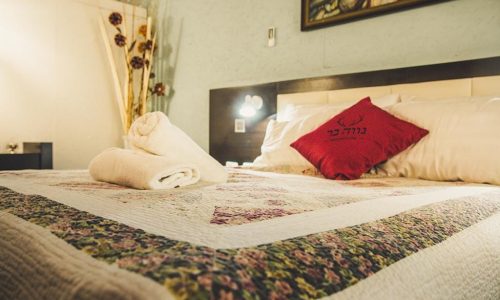 בר מצווה בשפלה