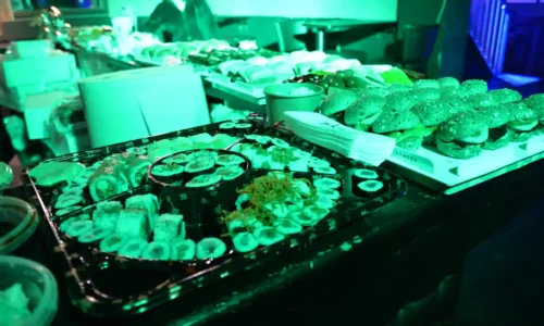 מקום למסיבת בת מצווה בתל אביב