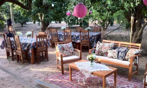 הקטיף-חצר וסידור שולחנות ועצים