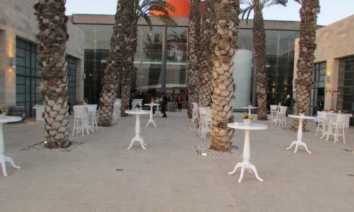 וינום- קבלת פנים ואירוע בטבע ובריכה