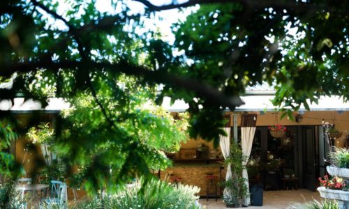 בלב המושב- חוץ עצים ואווירה לאירוע