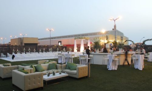 האנגר 11 -מדשאות ודשא