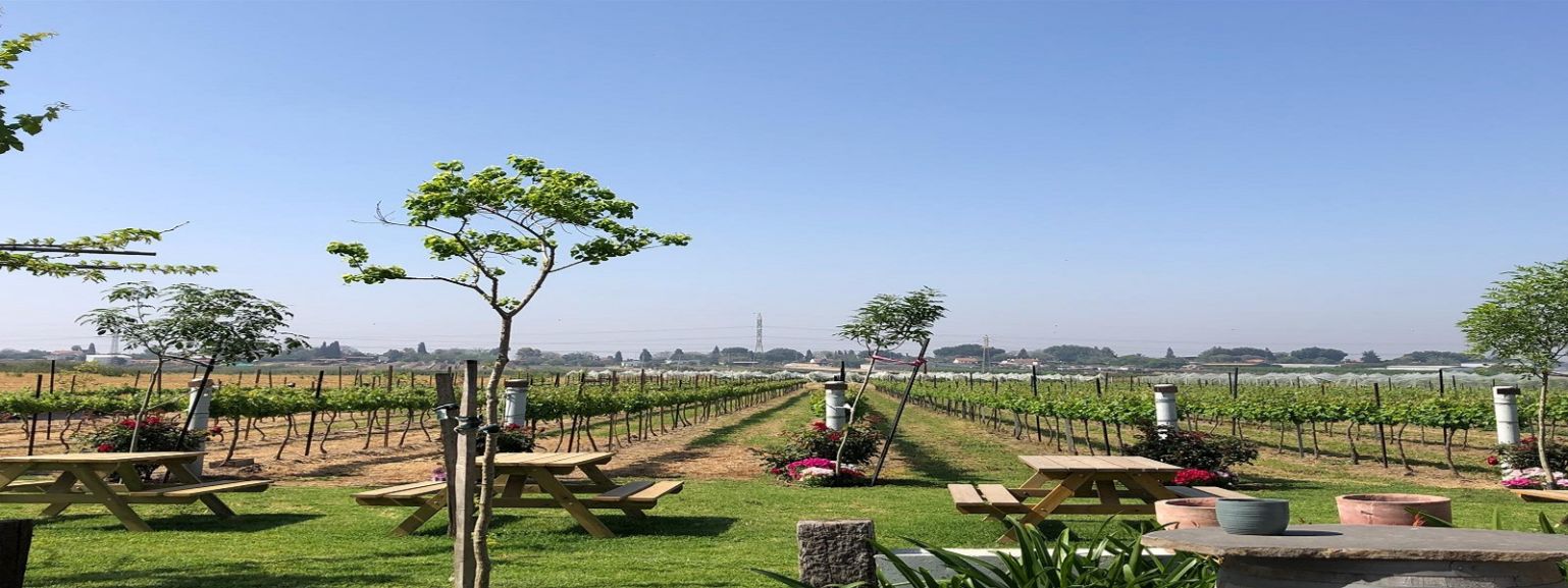 יקב בוטיק באווירה כפרית- יקב חיטים