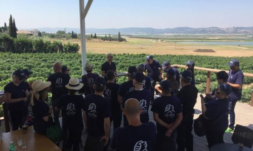 יקב משפחתי עם הנוף המדהים שיש