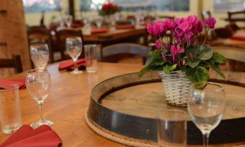 החצר בבנימינה- סידור שולחנות וחצר וסגנון כפרי