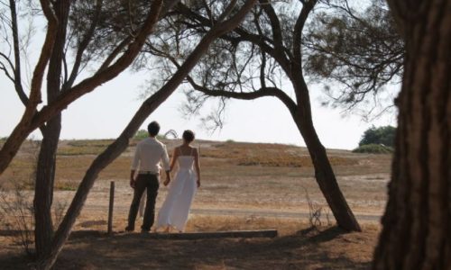 הפינה בצל האשל-סידור נוף וחתונה בשטח