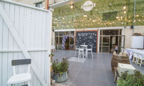 סטורי - הגינה