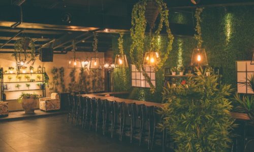 סמילנסקי גארדן- הגינה