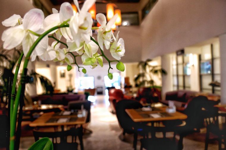 העיר הלבנה – אירועים במלון עם גינה בתל אביב