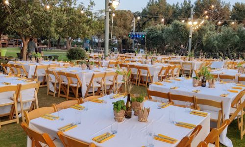 מטעים זכרון יעקב