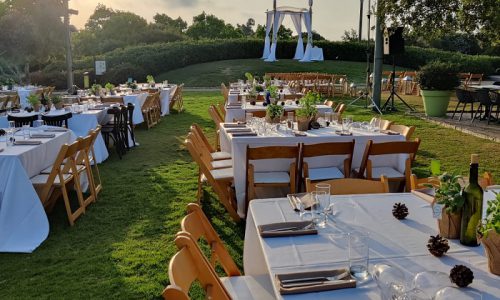 מטעים חתונה