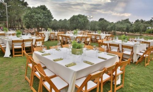 מטעים- אירוע בשמורת טבע