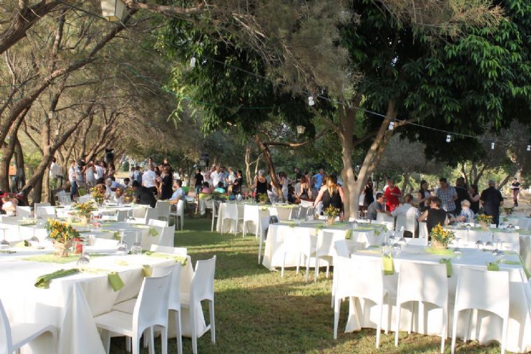 הפינה בצל האשל